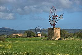 DSC03850 -1_t.jpg
